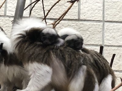生後４日目