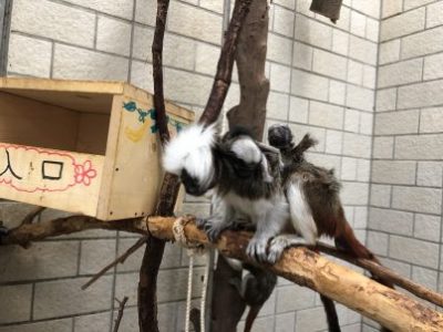 生後６日目