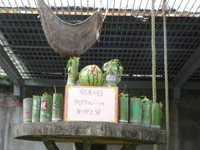 タロウのケーキ