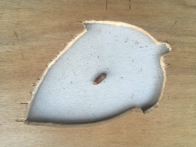 荒木のクオリティ