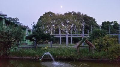 マダガスカルの上に月