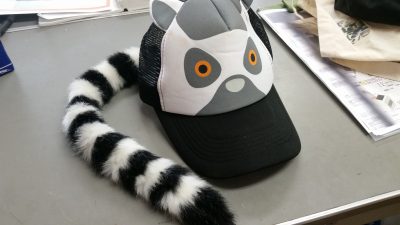 スペシャルエディション