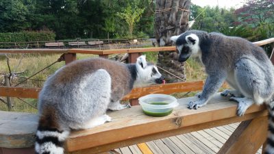 フニャッ