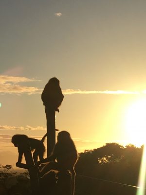 ヒヒの城の夕日