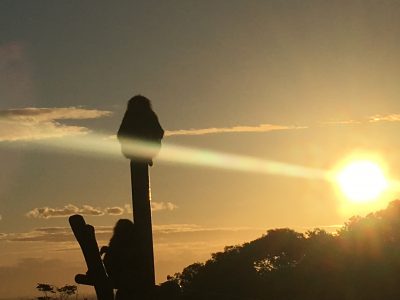 ヒヒの城の夕日2