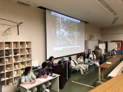 キツネザルBINNGOリハ