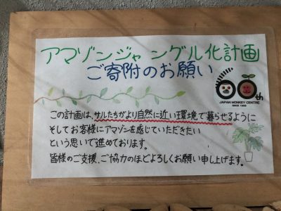 拡大