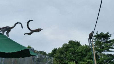 最高のジャンプ