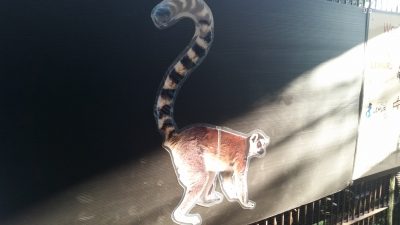 ワオラミネート