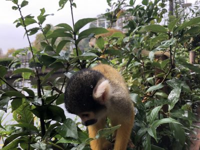 何かを探してる？
