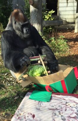 タロウさんのXmas５