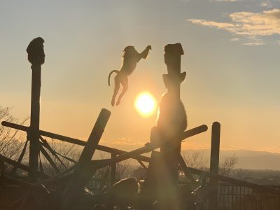 ヒヒの城　夕日2