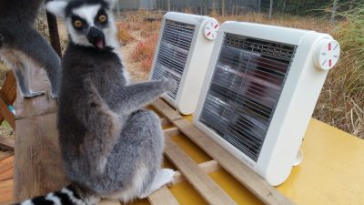 ストーブ暖かーい