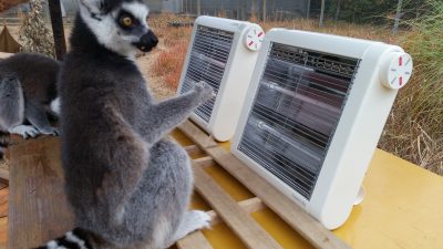 ストーブ暖かい