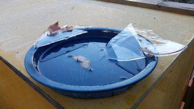 水皿は凍る