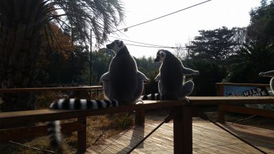 日光浴バックショット