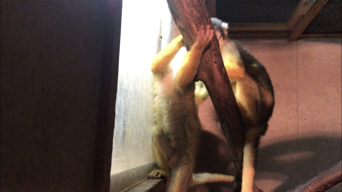 一番お気に入りのシーン