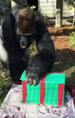 タロウさんのXmas２