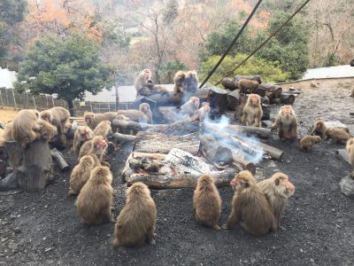 たき火を囲む