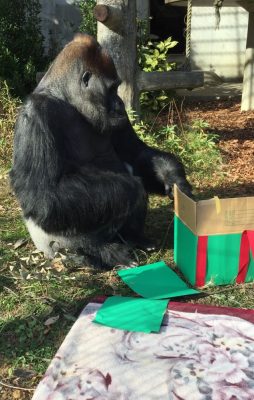タロウさんのXmas４