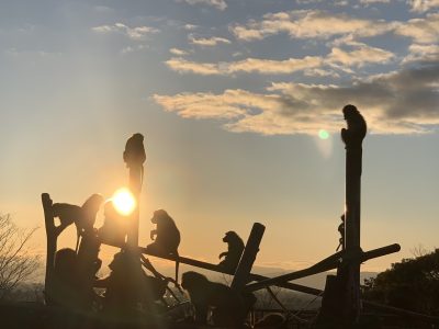 ヒヒの城　夕日
