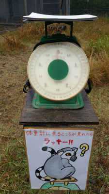 計りの体重計