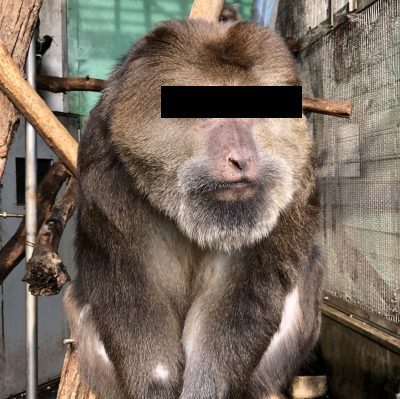 アジル館のでかいやつ