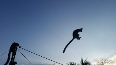 JUMP