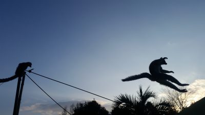 着地