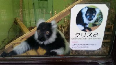 クリス紹介