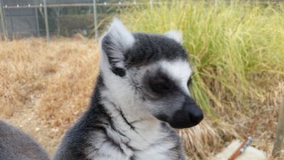 寝る
