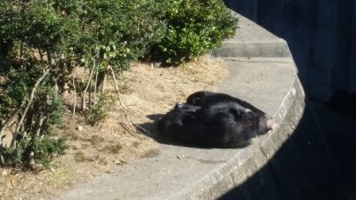 イチャイチャしてる