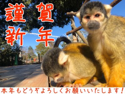 年賀状っぽく