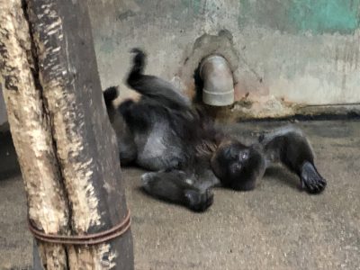 地面で背中を