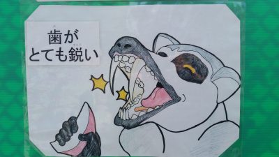 ラミネート