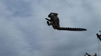 ジャンプ！