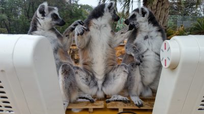 あたたかいね