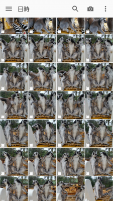 私の写真フォルダ