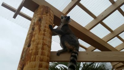 小屋のした