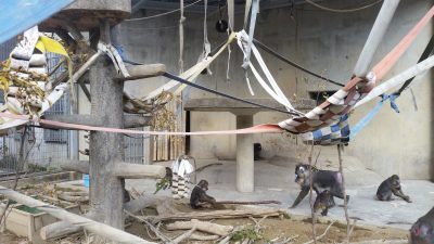 運動場に工夫がいっぱい