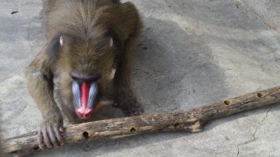 よく見て
