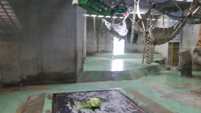 カゴの高さ