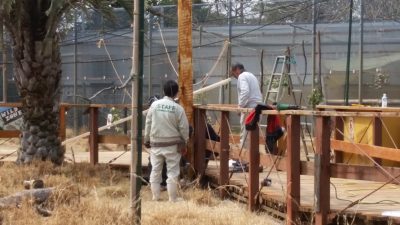 職人さんと一緒に
