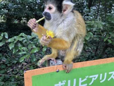 茎から食べる