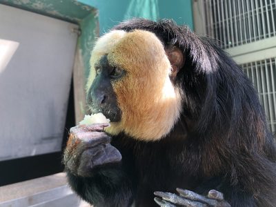 ミルクパンを食す