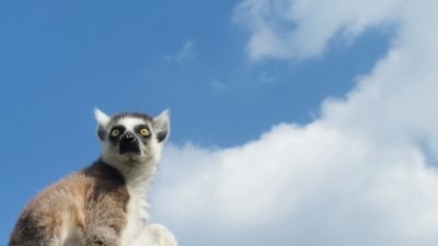 メッセージを青空に
