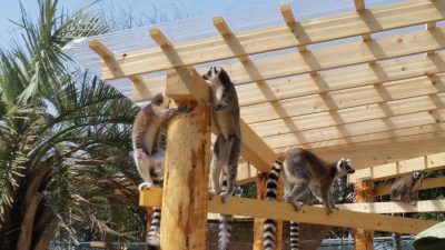 Wao屋根の注意