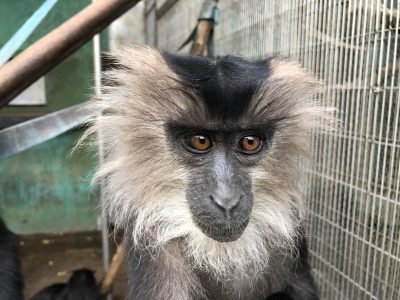 イトちゃん