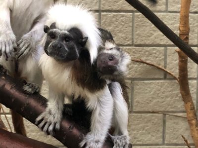 首をかしげる赤ちゃん