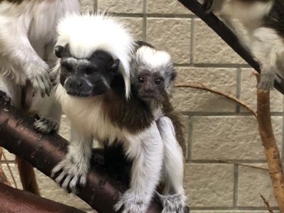 ホワイトデー生まれの赤ちゃん